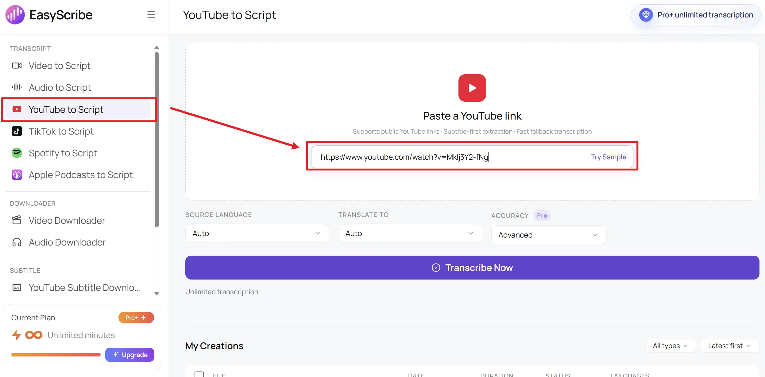 Paste the YouTube Video Link